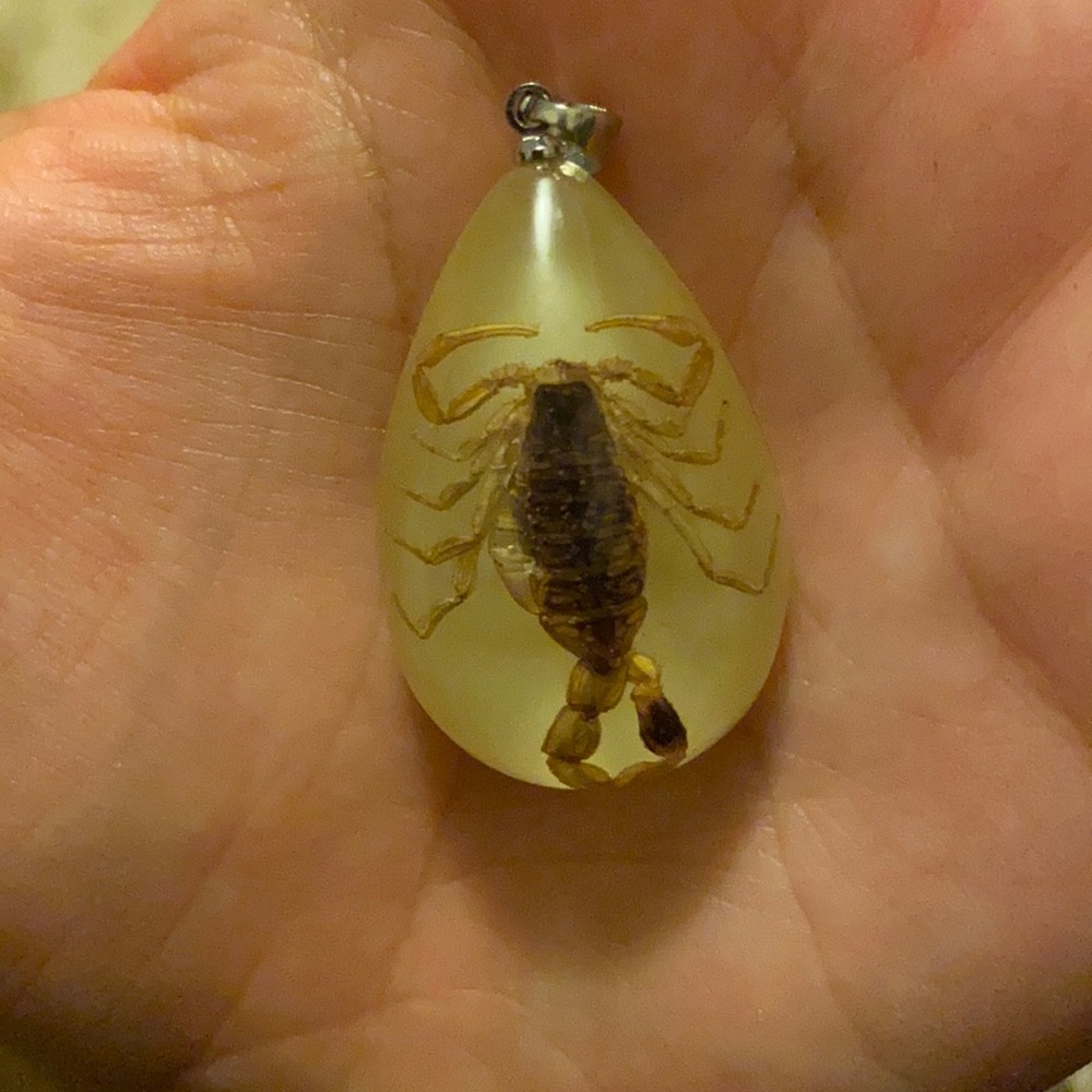 ❤️ Glow in the Dark Scorpion Necklace